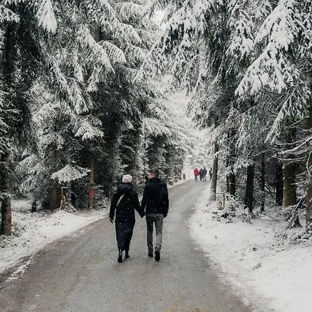 Marga's Appartamento Lembach im Mühlkreis