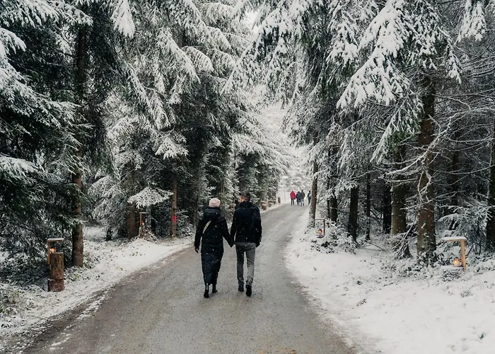 Marga's Daire Lembach im Mühlkreis