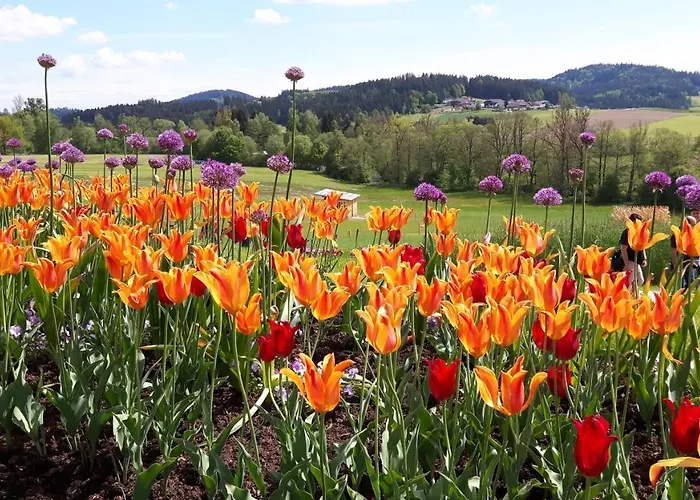 Marga's Appartement Lembach im Mühlkreis