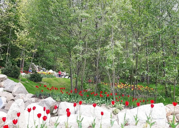 Marga's Appartement *