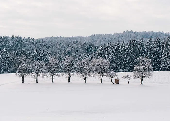 Appartement Marga's *